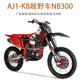 AJ1-K8 NB300两轮越野摩托车山地车拉力高赛赛车水冷发动机300cc