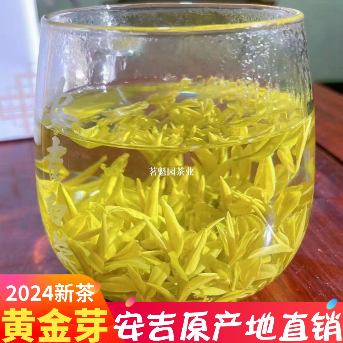 2024新茶白茶安吉正宗黄金芽茶叶