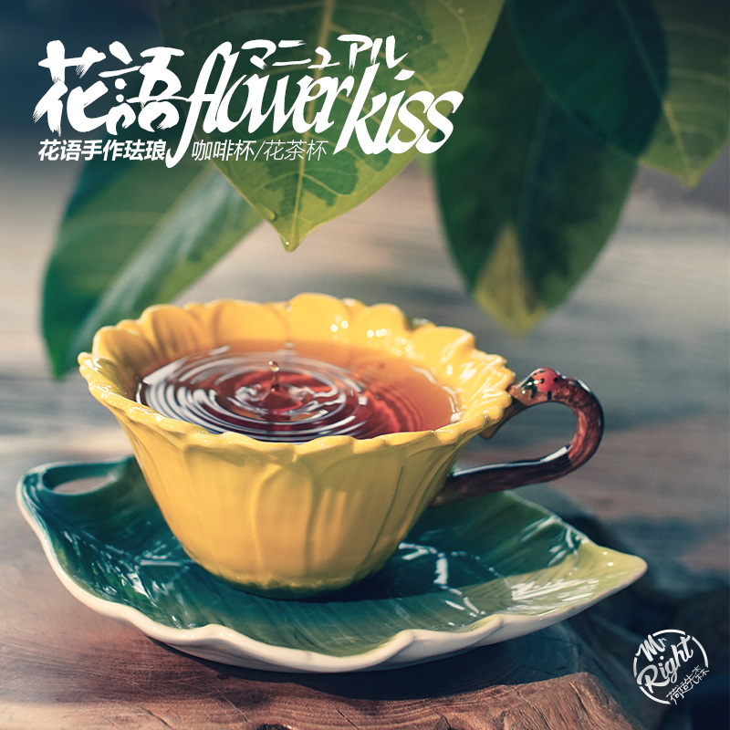 北欧田园风小精致手绘珐琅彩咖啡杯碟创意高颜值花茶杯礼盒套装