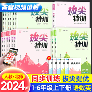 2024版拔尖特训一二三四五六年级上册下册语文数学英语人教版北师版小学教材专项同步训练课时作业本一课一练课堂笔记学霸通城学典