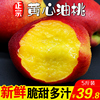 山東油桃5斤黃心油桃新鮮孕婦水果當季現貨桃子非水蜜桃黃桃蟠桃 山東油桃5斤黃心油桃新鮮孕婦水果當季現貨桃子非水蜜桃黃桃蟠桃