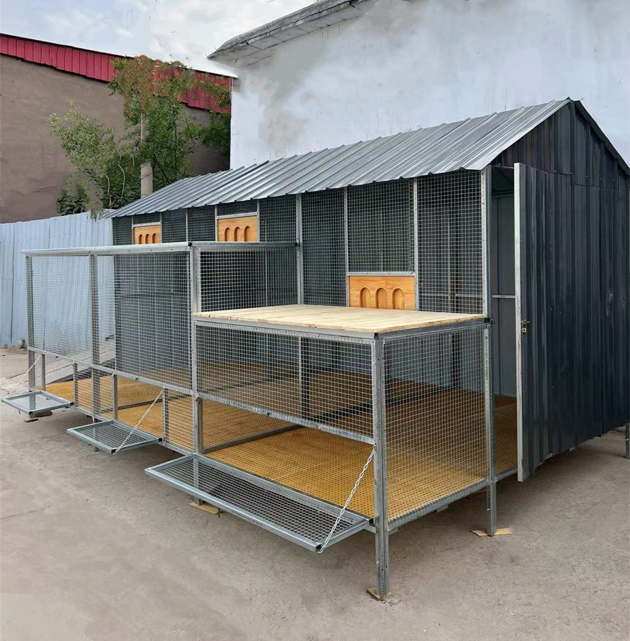拼装鸽棚定制鸽舍户外养殖鸽子笼大型简易组装鸽棚防鼠防猫可拆卸