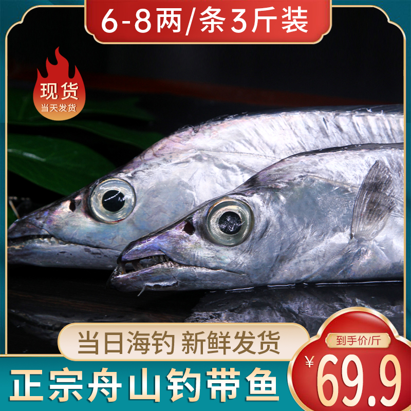 舟山带鱼新鲜东海正宗冰鲜海鲜冷冻生鲜特产整条油带鱼活水产刀鱼