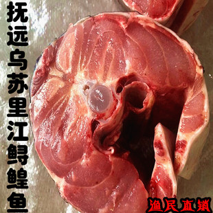 鲟鱼黑龙江抚远特产龙鱼鳇鱼整条鲜活速冻东北黄鱼肉食用水产大鱼