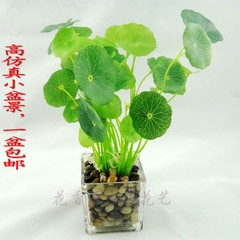 仿真清新小荷叶铜钱草假花绿色植物装饰玻璃陶瓷花瓶花插结婚礼物