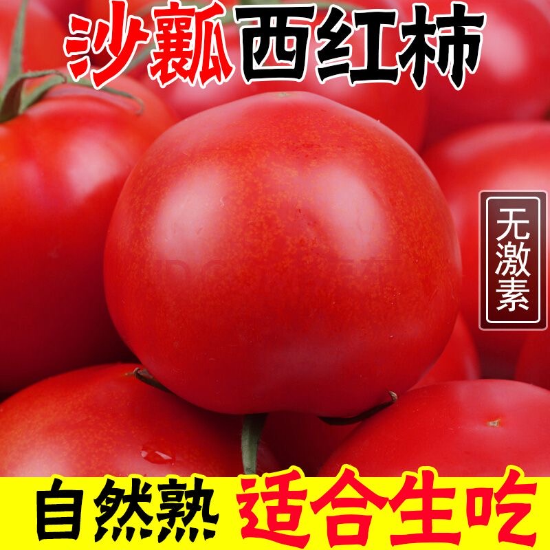 陕西泾阳沙瓤普罗旺斯西红柿自然成熟