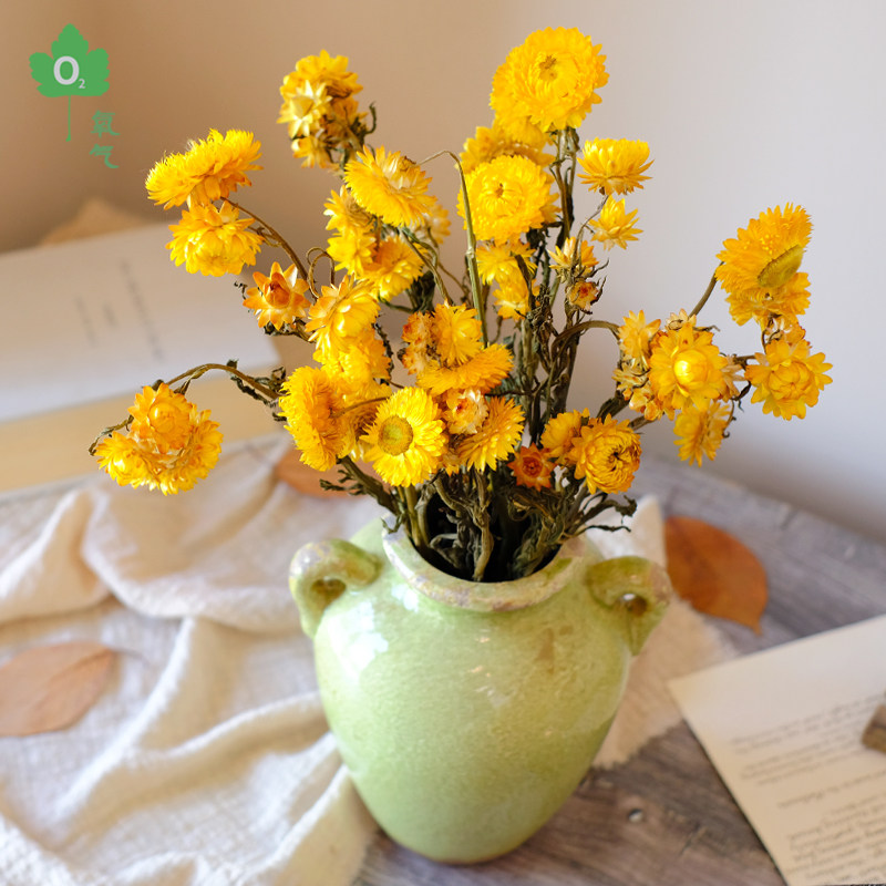 永生菊花_【蜡菊】干花永生花插花装饰菊花云南真花花束倒挂民宿美式
