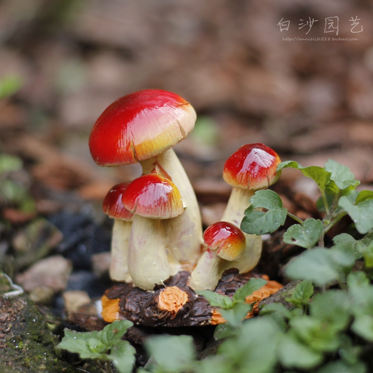 外贸出口原单蘑菇微景观儿童房花园桌面植物摆件树脂装饰品礼品