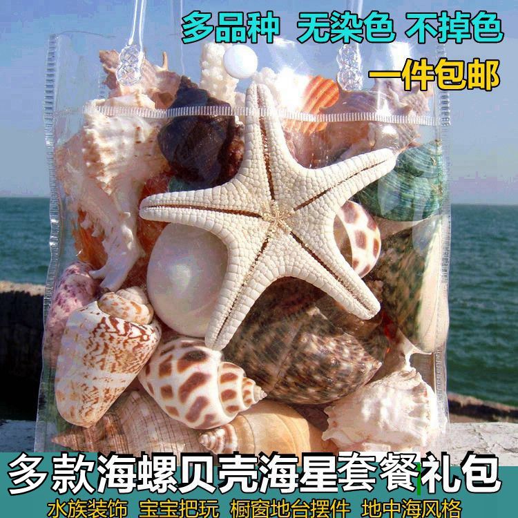 海螺贝壳海星套餐 鱼缸水族装饰 橱窗地台居家摆件儿童玩具小礼物