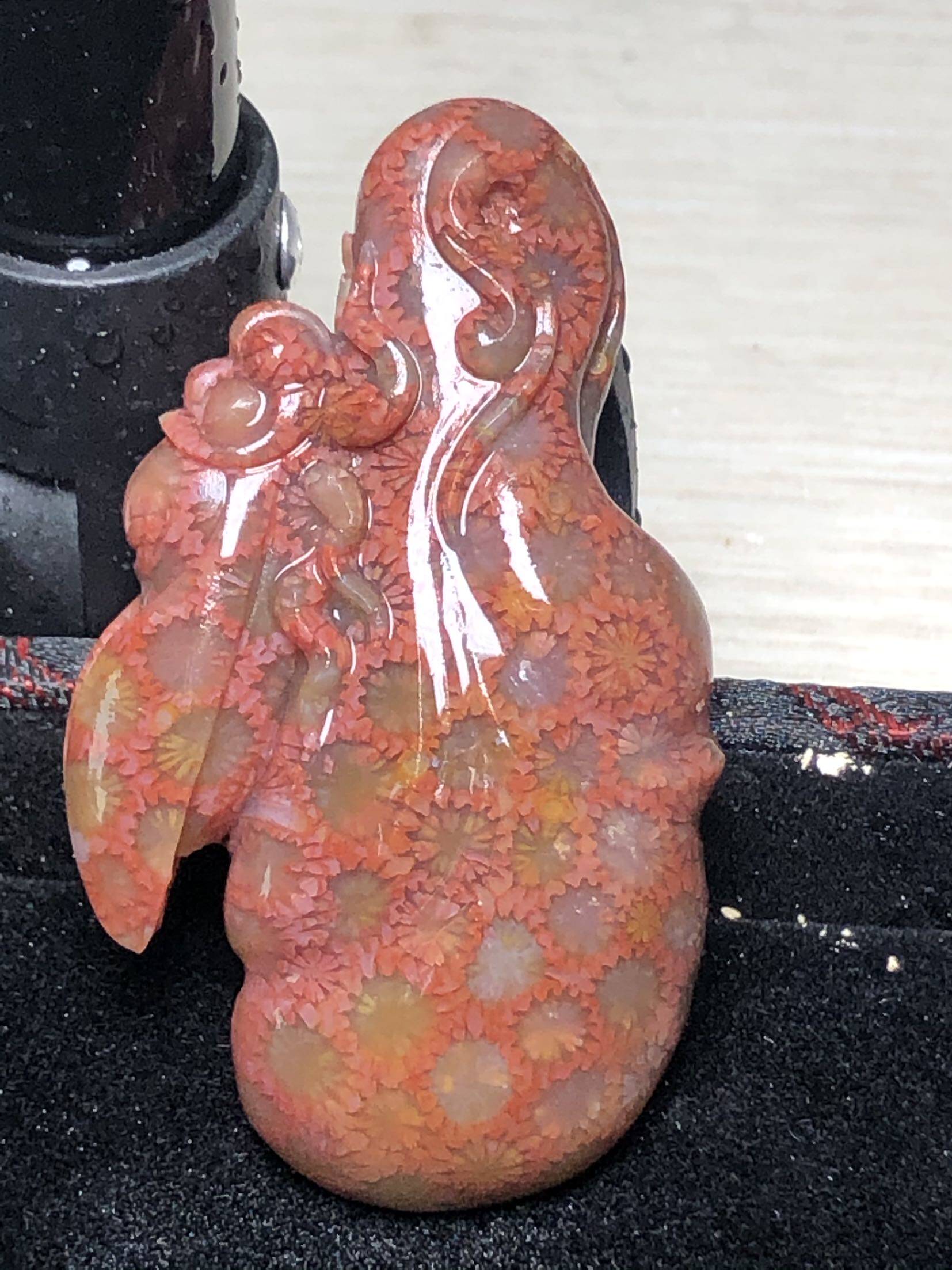 红太阳珊瑚玉天然宝石 原石 原料 手镯 雕刻件 项链 素牌 直播间