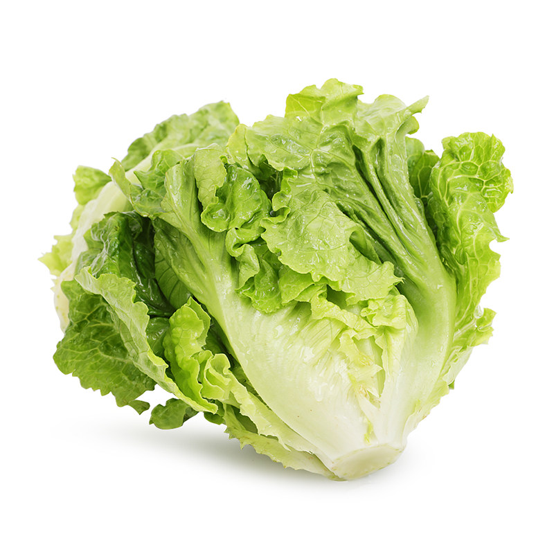 8元10折距离结束:1天23时59分30秒高山生菜3000人收藏天猫超市扫码有