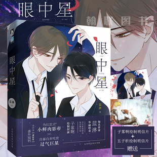 官方正版 眼中星 赠手绘明信片 意外事故作者蓝淋著 子雾啊绘封面