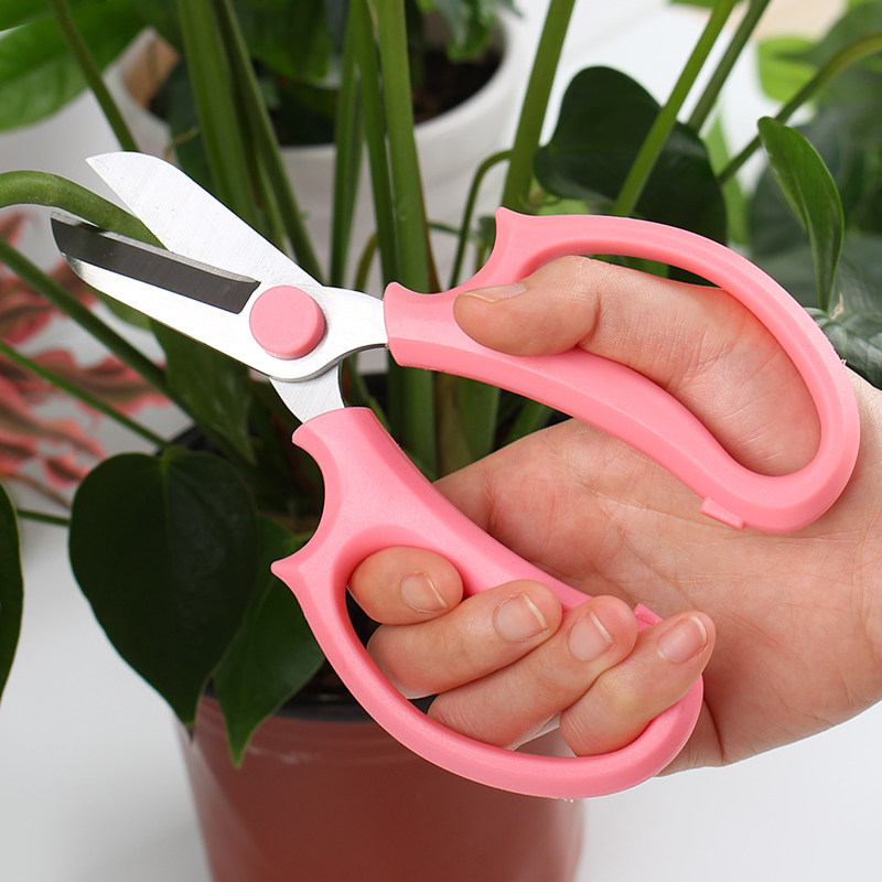 插花剪园艺花艺剪刀家用宽头花剪鲜花花道剪花枝树枝修花修枝工具