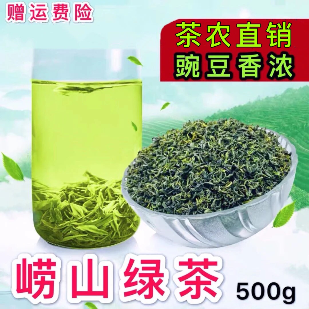 正宗崂山绿茶2024新茶一斤浓豆香