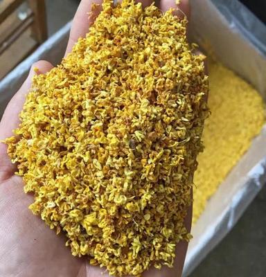 桂花茶精选干桂花广西桂林特产花草茶食用新鲜金桂花茶