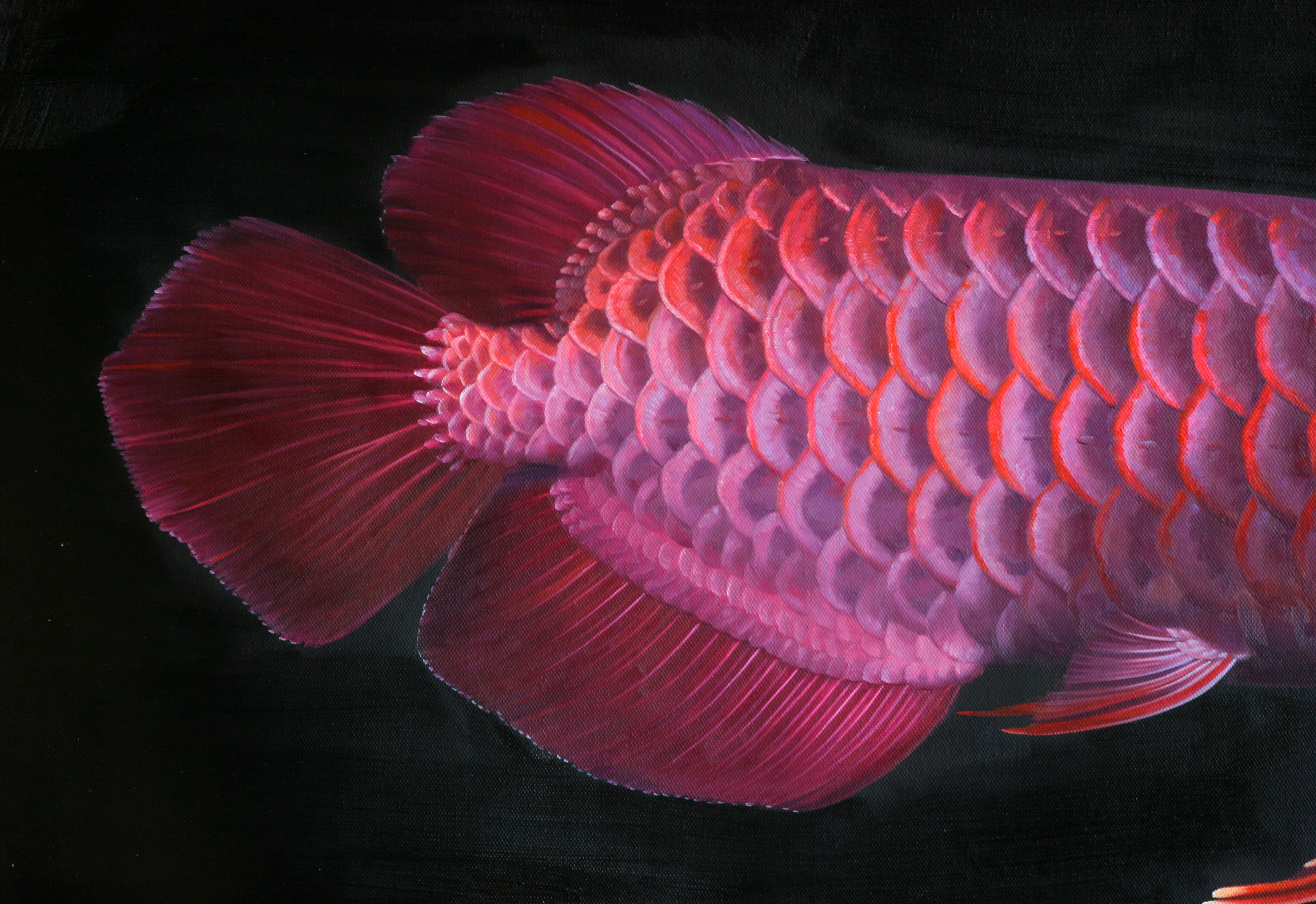 苏章峰《富贵有鱼-3》