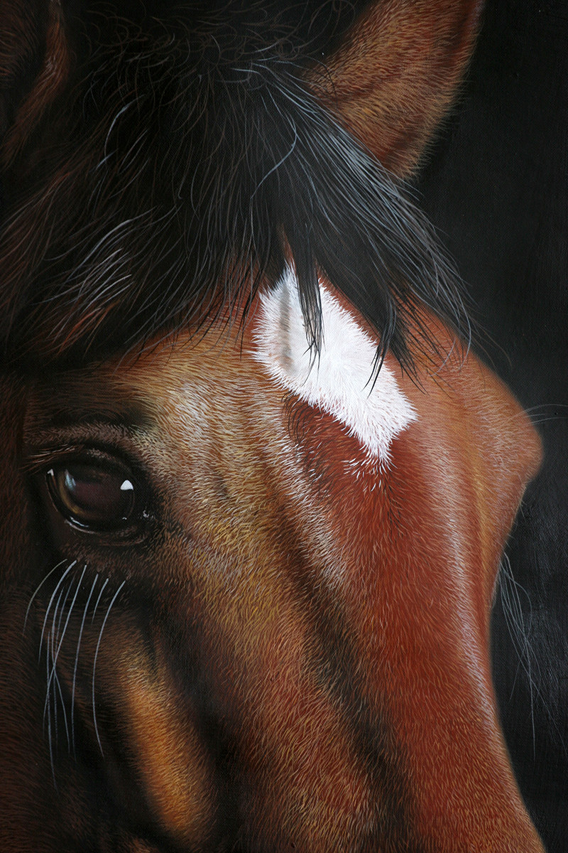 黄剑波 超写实系列《马头6-10》限量收藏级 实力派画家