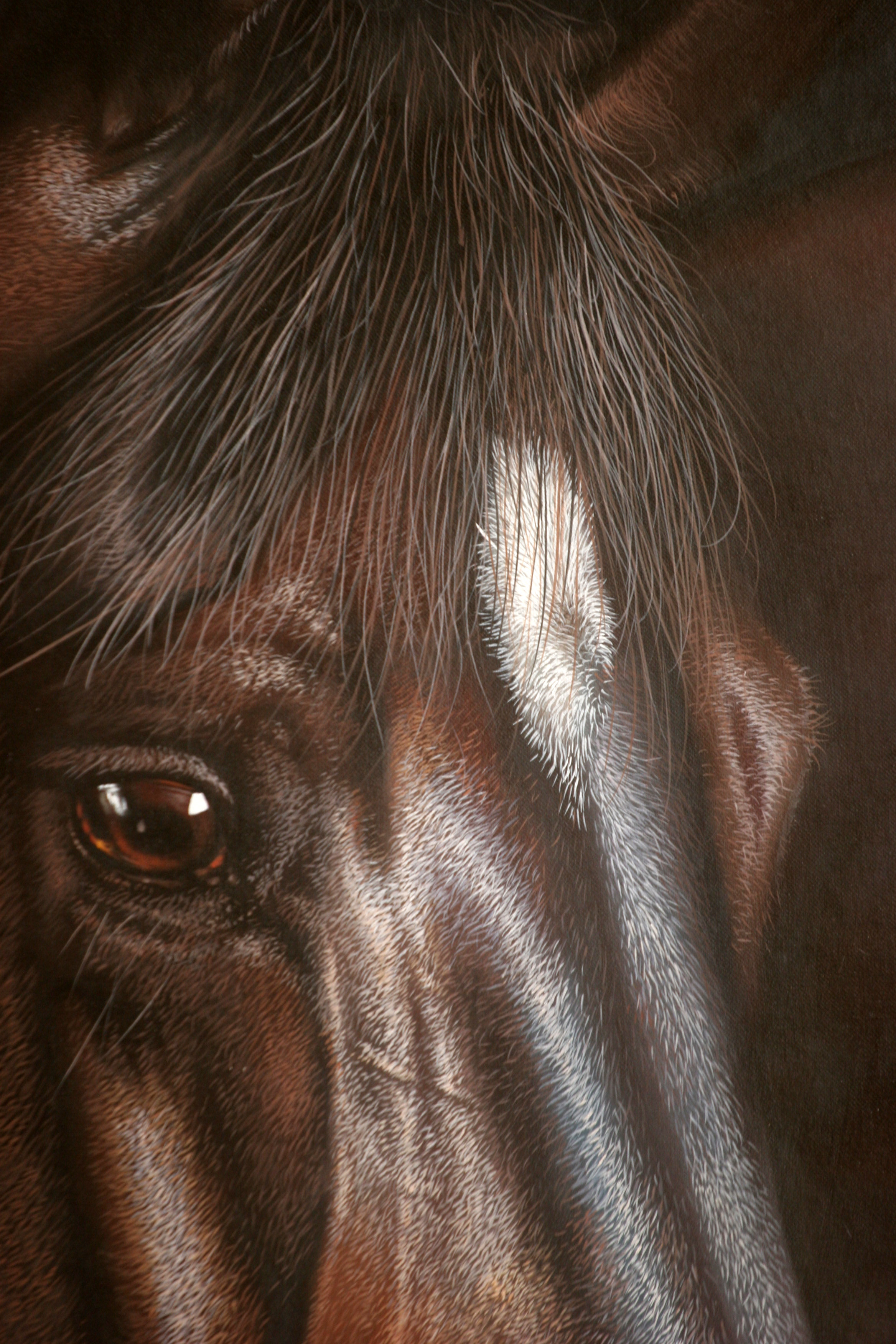 黄剑波 超写实系列《黑色骏马》限量收藏级 实力派画家