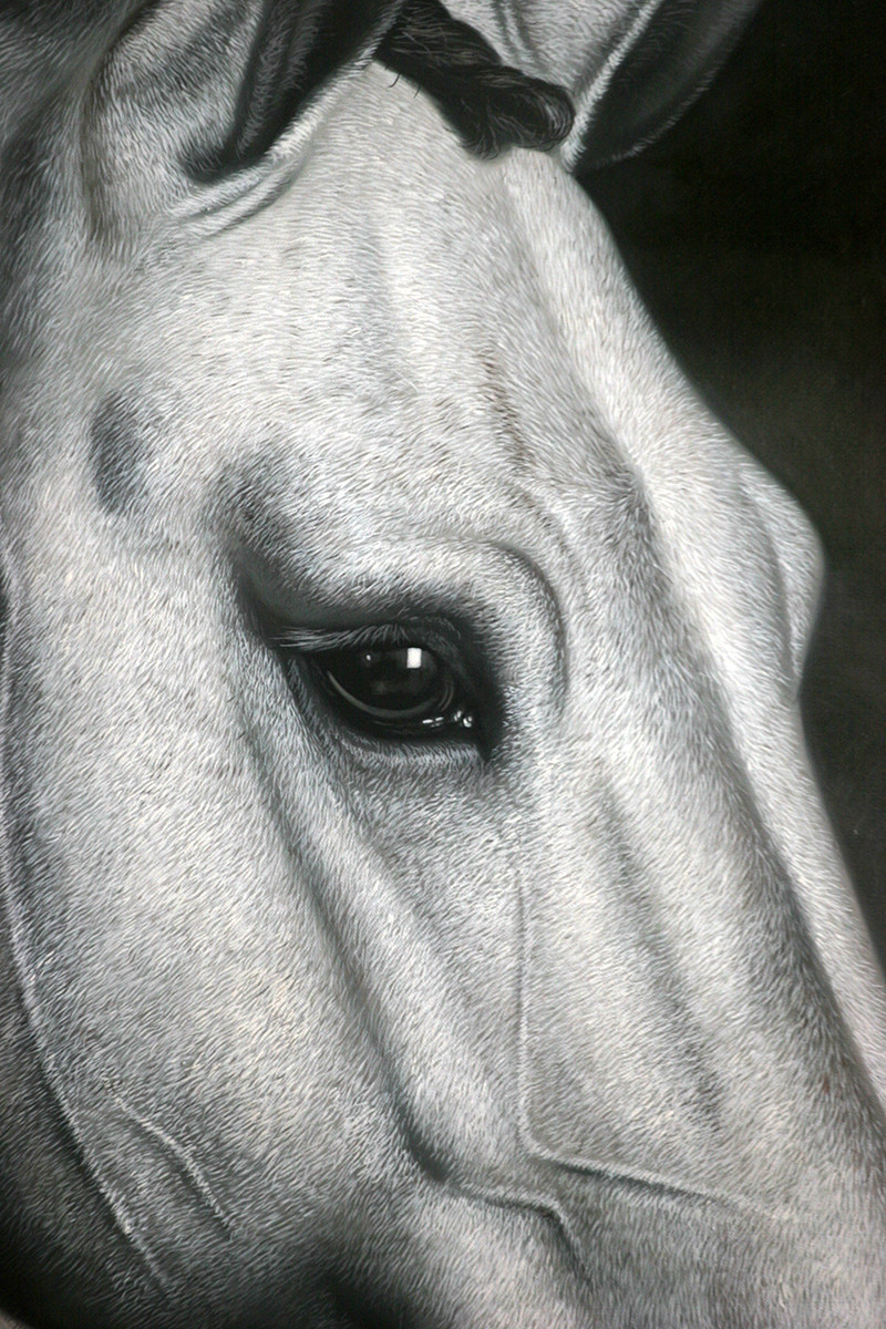 黄剑波 超写实系列《马头8-4》限量收藏级 实力派画家