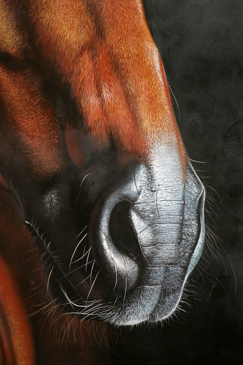 黄剑波 超写实系列《马头6-8》限量收藏级 实力派画家