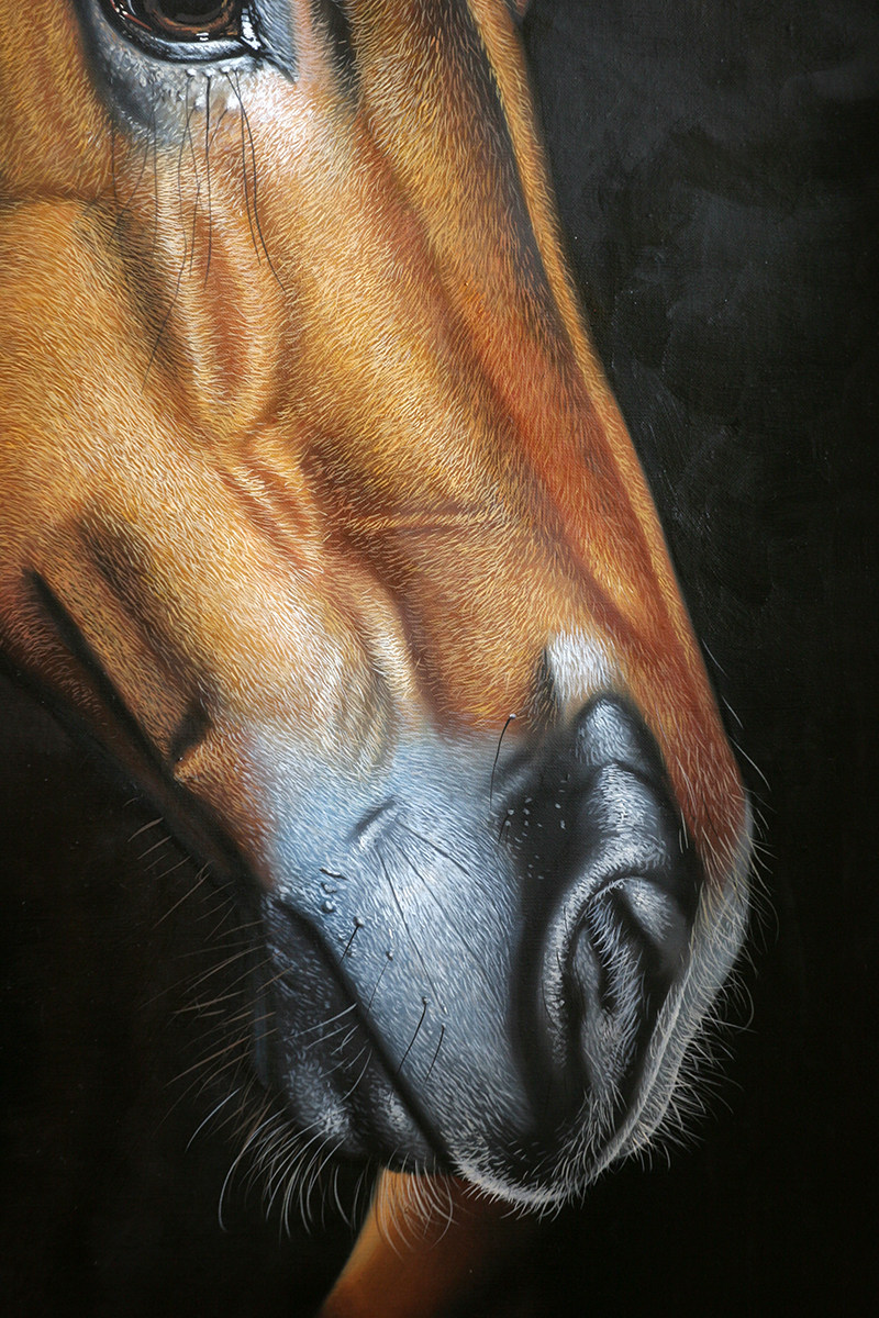 黄剑波 超写实系列《马头9-3》限量收藏级 实力派画家