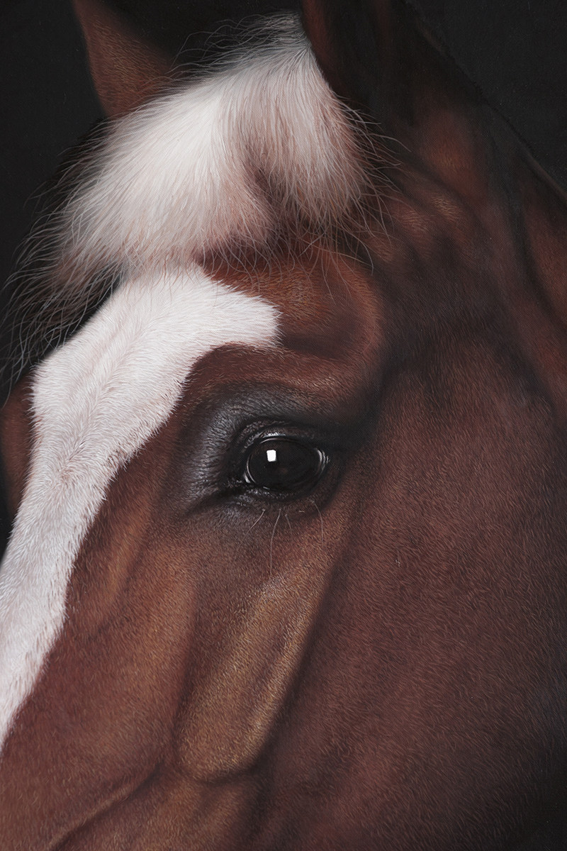 黄剑波 实力派画家|超写实系列《马头》精品超写实油画 限量收藏