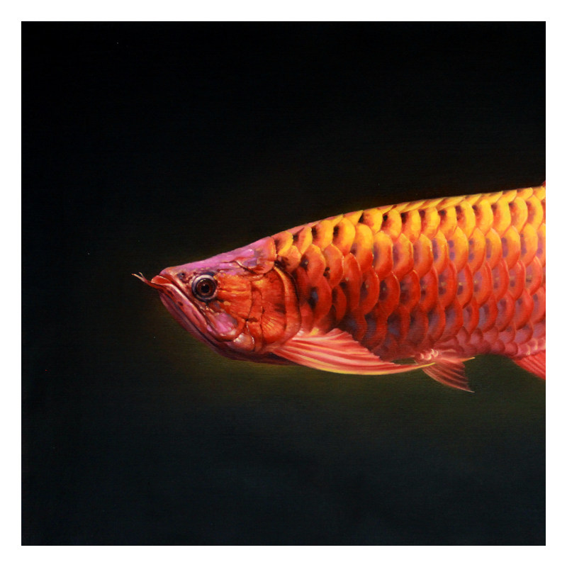 王新宇 《红龙纳财》 布面油彩 吉林省美协会员