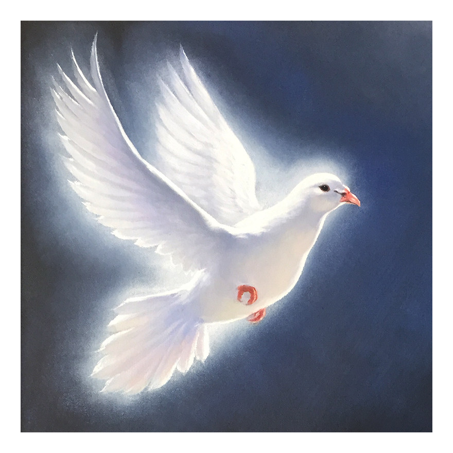 刘龙华《驯良如鸽》布面油画45x45cm