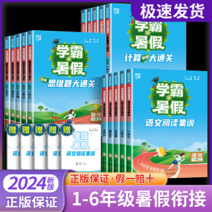 2024学霸暑假衔接作业一二三四五六年级上下册课堂笔记语文阅读集训数学计算思维大通关人教版江苏教版同步训练习册暑假一本通