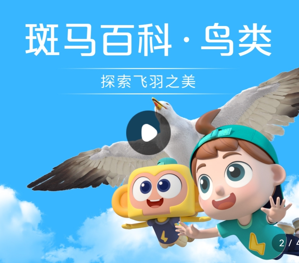 斑马ai课斑马百科鸟类昆虫天文幼儿初中大班百科