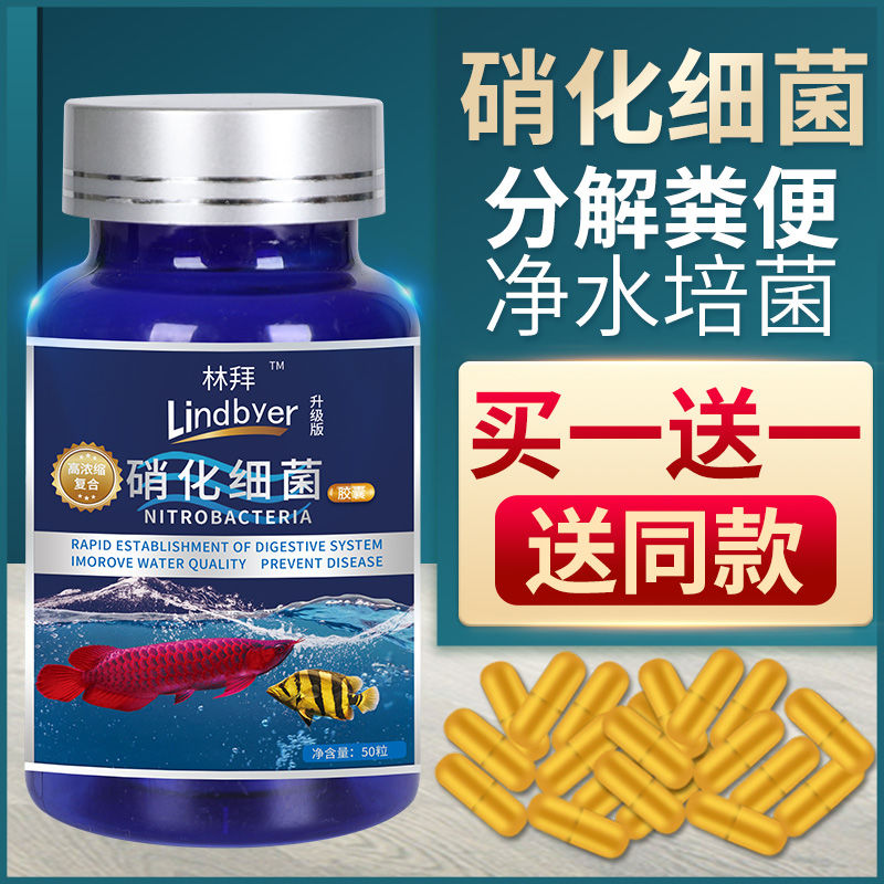 硝化细菌硝化菌消化细菌鱼缸净水剂养鱼用品胶囊水族水质稳定剂