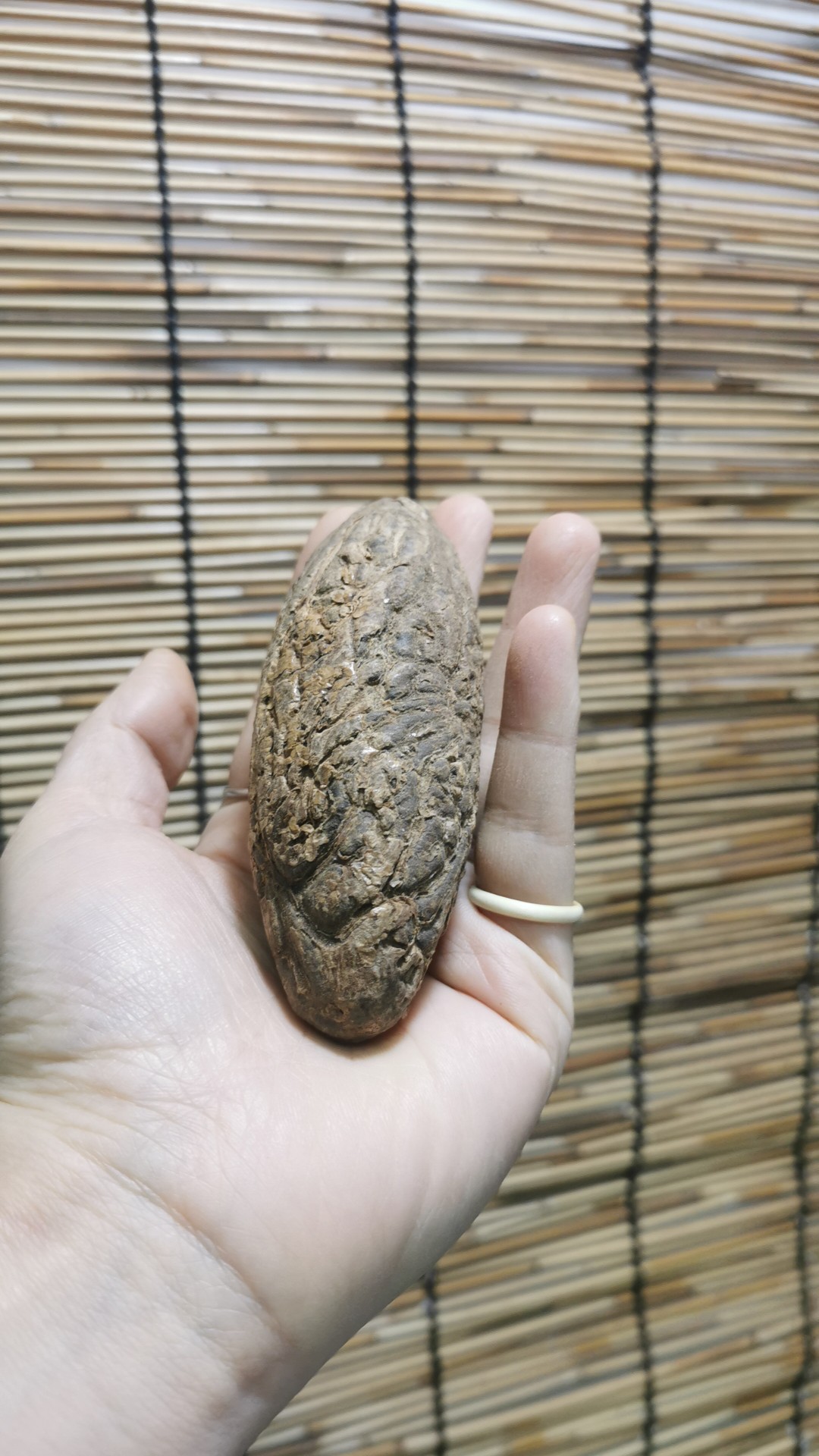 天然千眼菩提原果36-37mm