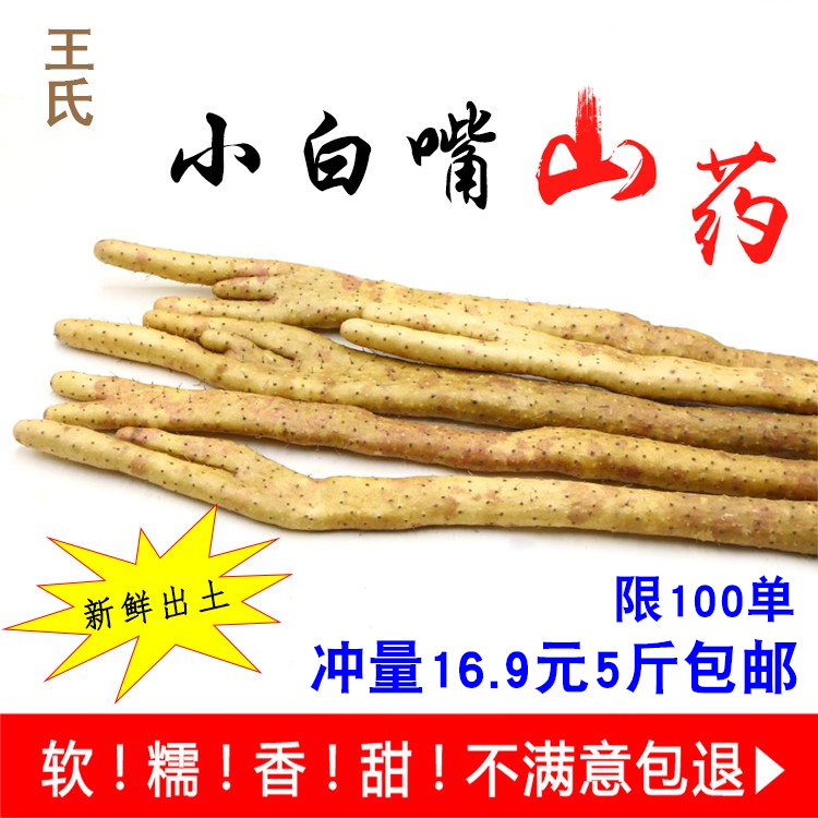 王氏河北小白嘴山药比铁棍铁杆淮山药好吃实惠5斤装包邮|ruв категории традиционные питательный пища, ям - от Buy2taobao.com для оказания профессиональной услуги покупки агента Taobao