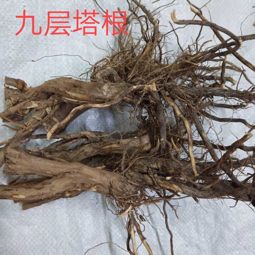 特价青草_新货金不份根 罗勒根九层塔根金不换根纯根干品中草药材500