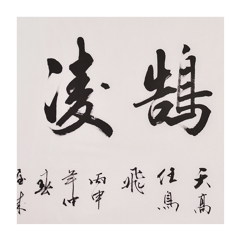 杨传伟 《鸿鹄凌云》河北省书法家协会会员