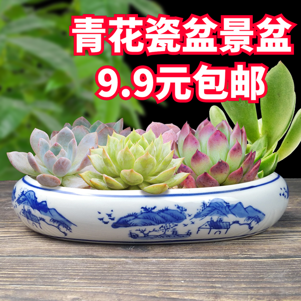 吸水石盆上水石景盆假山盆青花瓷次品多肉水仙铜钱草花盆无孔盆栽