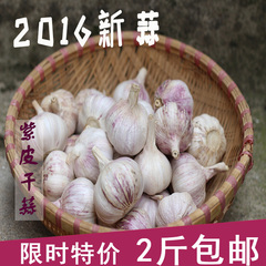 2016新鲜大蒜头 紫皮干蒜 农家自种 蒜头 大蒜种 2斤装 低价包邮