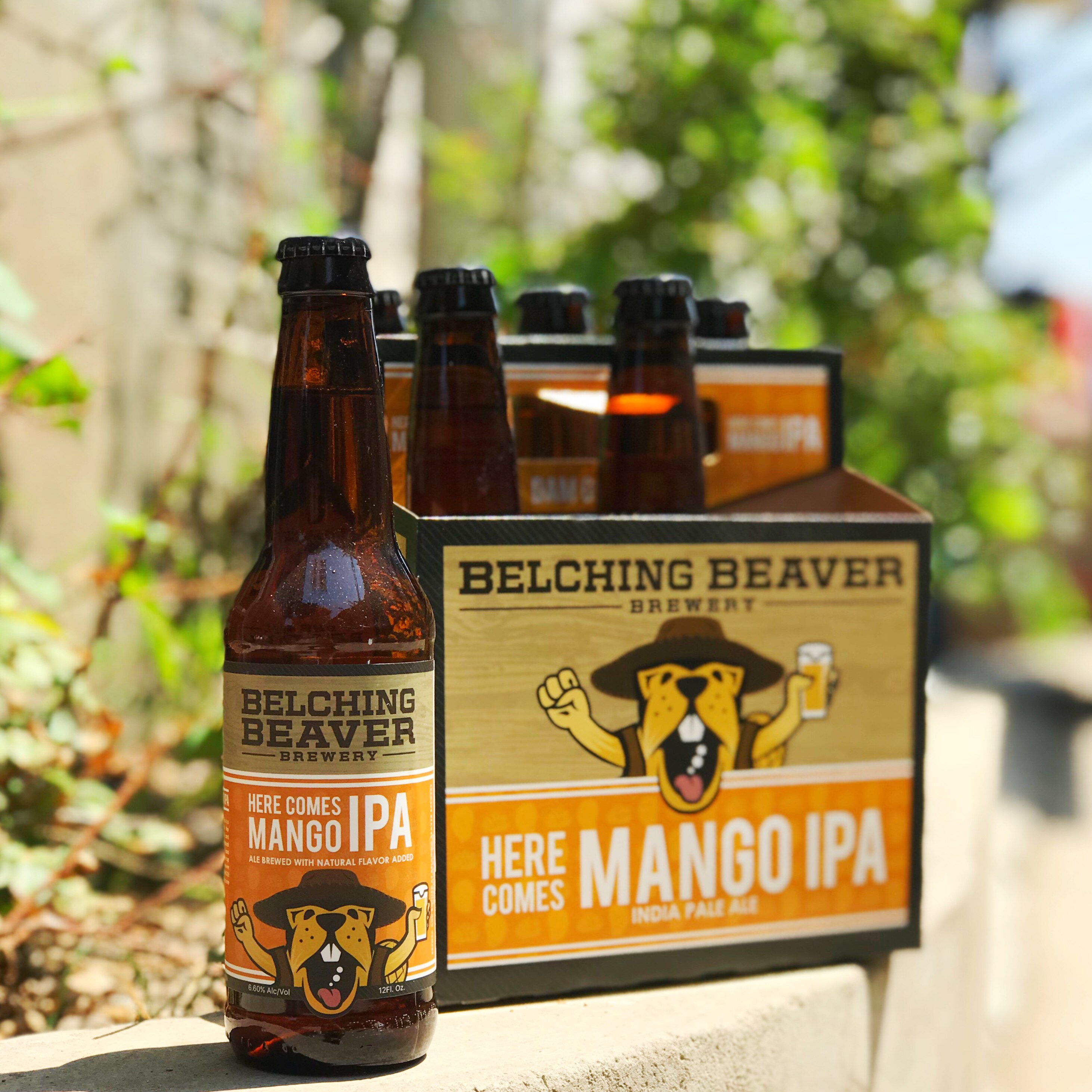 惠同学 美国精酿 打嗝海狸曼戈啤酒355ml *6瓶 芒果ipa