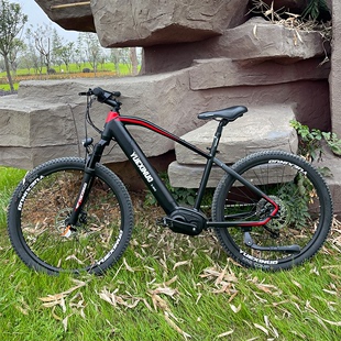 YUEXINUO G500中置电机电动助力自行车长途旅行越野变速山地车男
