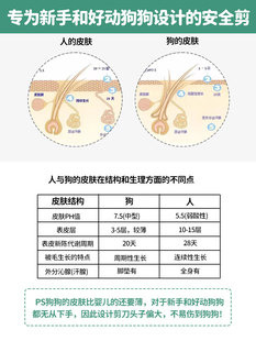 宠物美容剪刀狗狗剪毛专用工具猫咪修毛剪狗毛圆头直剪子理发神器