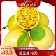 【蜂狂618】钦蜜9号黄金百香果1.5kg中果包邮新鲜水果当季整箱