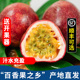广西百香果9斤新鲜大果当季孕妇水果紫皮果酱原浆柠檬汁整箱包邮0