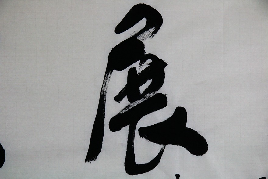 张树宝 《大展宏图》