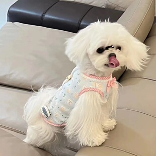 宠物猫咪狗狗衣服秋冬保暖可爱夹棉泰迪衣服博美比熊小型犬ins风