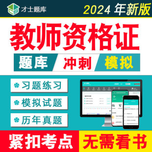 教师资格证网课课程电子版资料小学初中高中中学数学语文英语教资