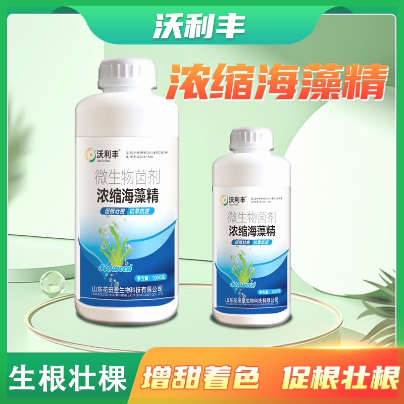 【官方正品】浓缩海藻精腐植酸海澡精微生物菌剂肥料大桶装沃利丰