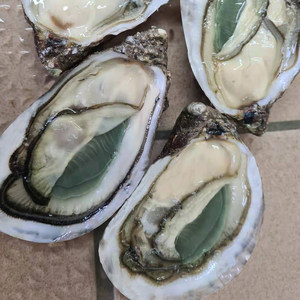 法国进口生蚝绿翡翠12只n0/n1/n2木箱鲜活即食牡蛎刺身非吉拉多蚝