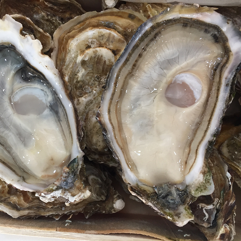 蚝门盛宴进口法国方腾鲜活特级新鲜即食超大生蚝n1级空运12只海鲜在类目 水产肉类/新鲜蔬果/熟食, 海鲜/水产品/制品, 贝类, 生蚝中 - 来自Buy2taobao.com提供专业的淘宝代购服务