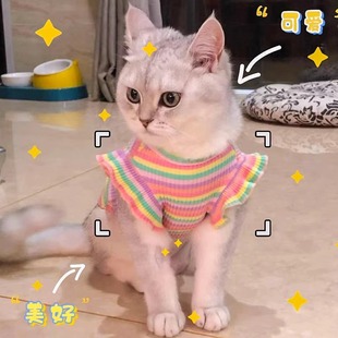 猫咪衣服飞袖小背心春夏薄款蓝猫布偶金渐层夏季透气宠物狗狗吊带