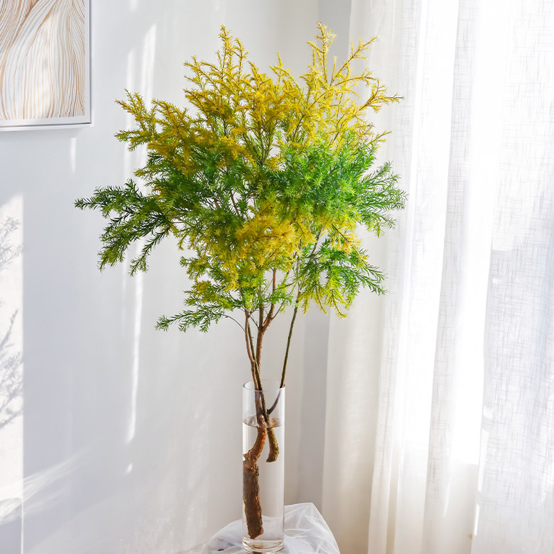 黄色千层金鲜花家用水养办公室插花禅意香松鲜切枝清凉款女神节礼